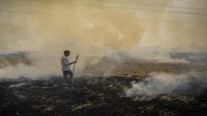 Punjab में पराली जलाने के 415 मामले: पिछले साल थे 1510, 172 घटना में FIR दर्ज, 189 मामलों में लगा जुर्माना!