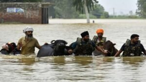 बाढ़ के बाद Dairy Farmers को बड़ा Relief: Punjab Government देगी 59 Lakh रुपये की मदद; Hoshiarpur और Taragarh के किसानों को बड़ा फायदा, Verka Brand का भी विस्तार
